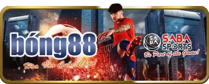 Giao diện người dùng thân thiện trên điện thoại và máy tính bảng